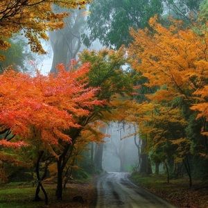 Meet your Posher, Anita